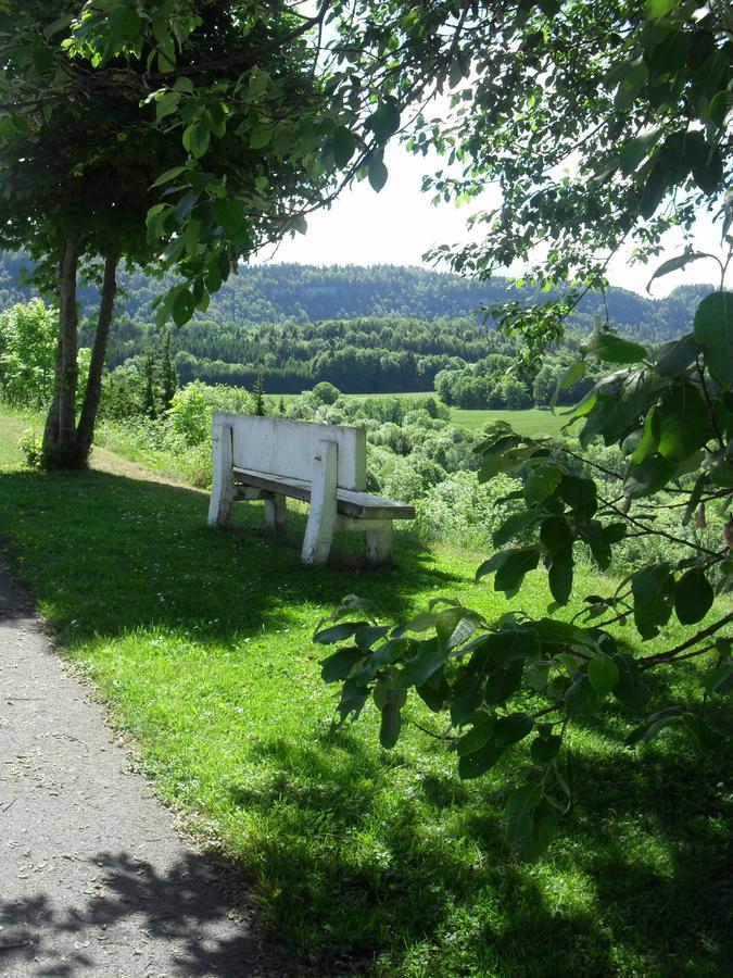 Hotel Les Alpages Bonlieu Zewnętrze zdjęcie